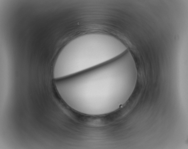 X0000114550454200910190954