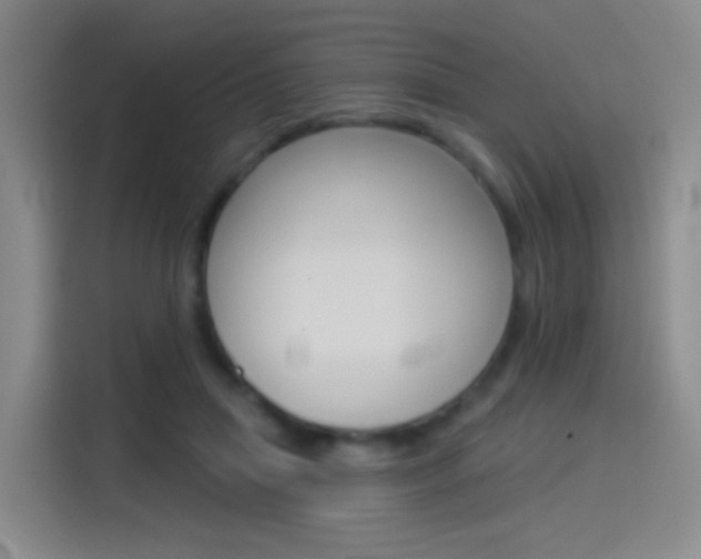 X0000114550455200910190954