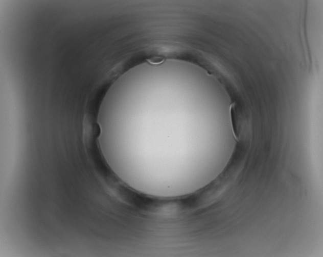 X0000114550456200910190955