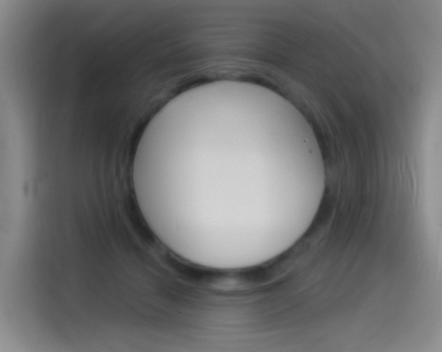 X0000114550460200910190955