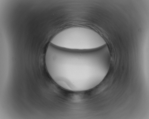 X0000114550462200910190955