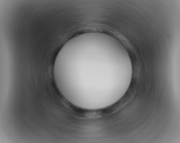 X0000114550465200910190955