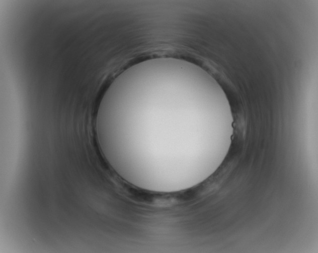 X0000114550470200910190955
