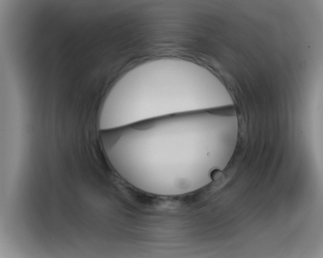 X0000114550471200910190955