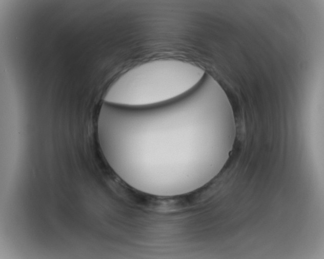 X0000114550472200910190955