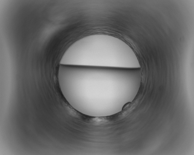 X0000114550477200910190955