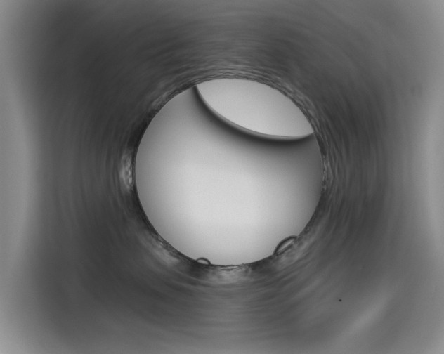 X0000114550479200910190955