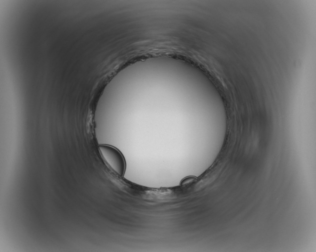 X0000114550480200910190955