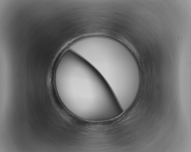 X0000114550483200910190954
