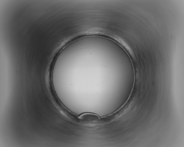 X0000114550485200910190954