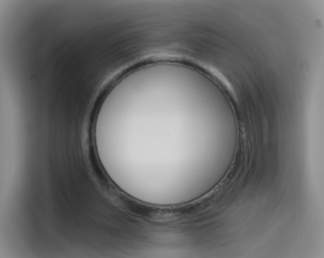 X0000114550487200910190954