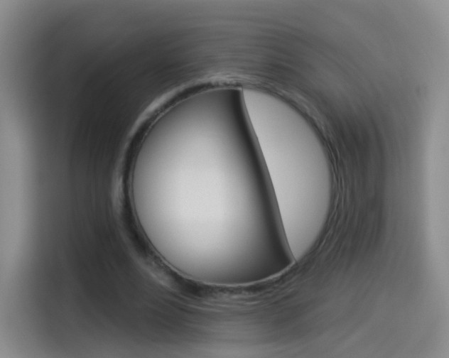 X0000114550488200910190954