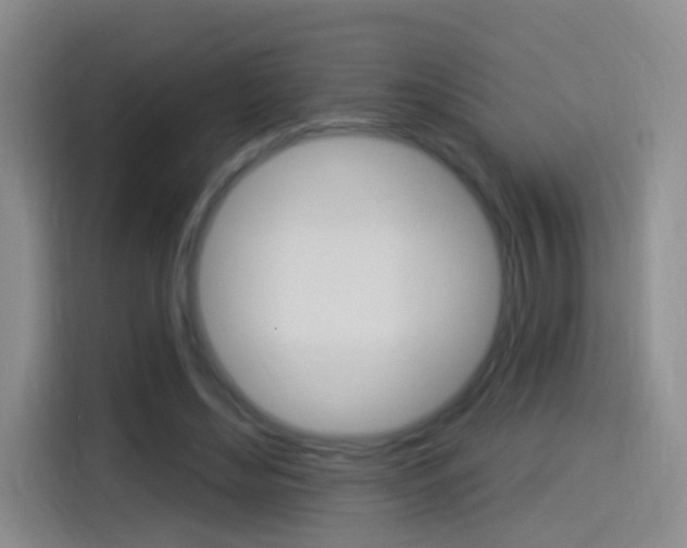 X0000114550492200910190954