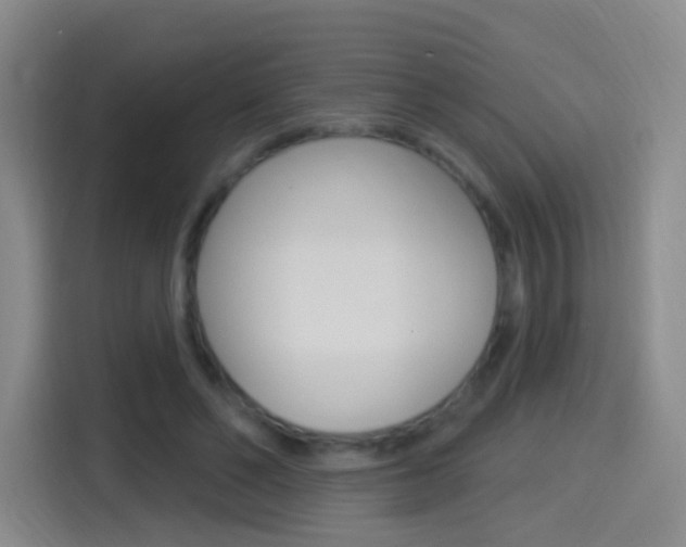 X0000114550494200910190954