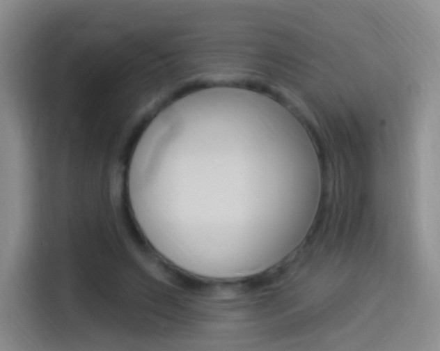 X0000114550495200910190954
