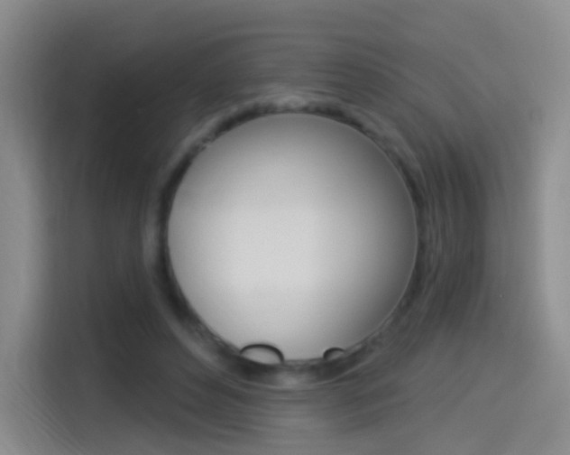 X0000114550496200910190954