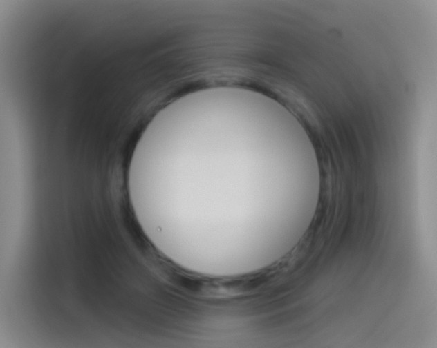 X0000114550498200910190954