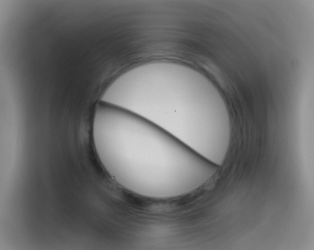 X0000114550499200910190954