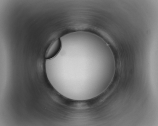 X0000114550501200910190954