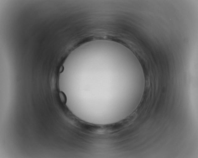 X0000114550504200910190954