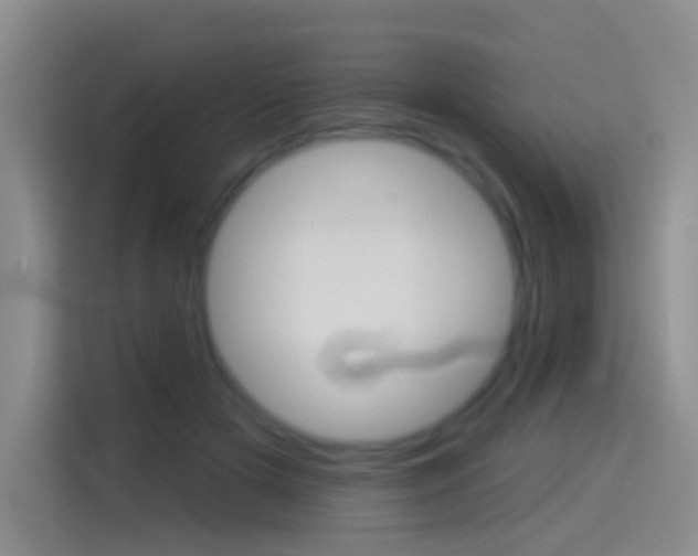 X0000114550505200910190954
