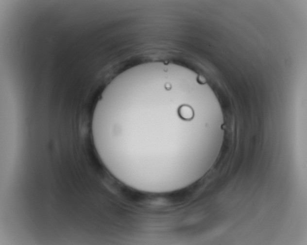 X0000114550507200910190954