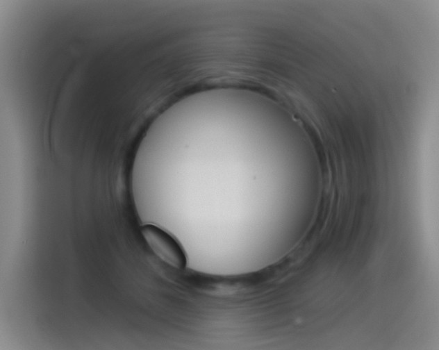 X0000114550508200910190954
