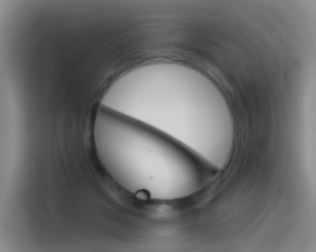 X0000114550509200910190954