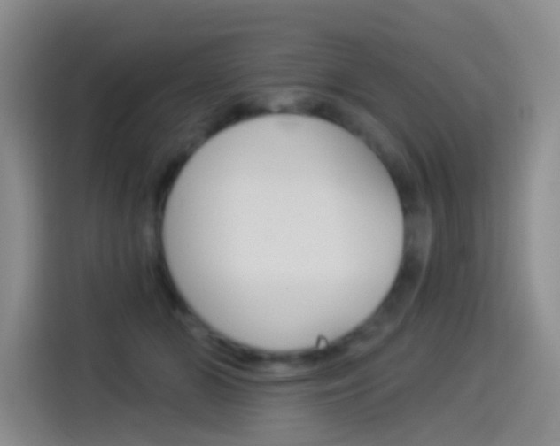 X0000114550510200910190954