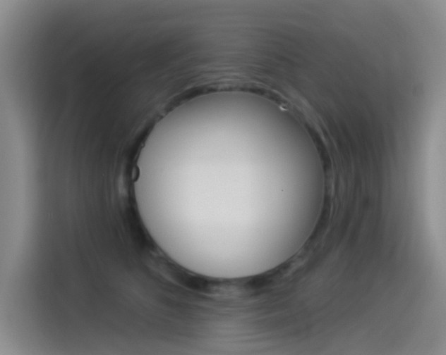 X0000114550516200910190954
