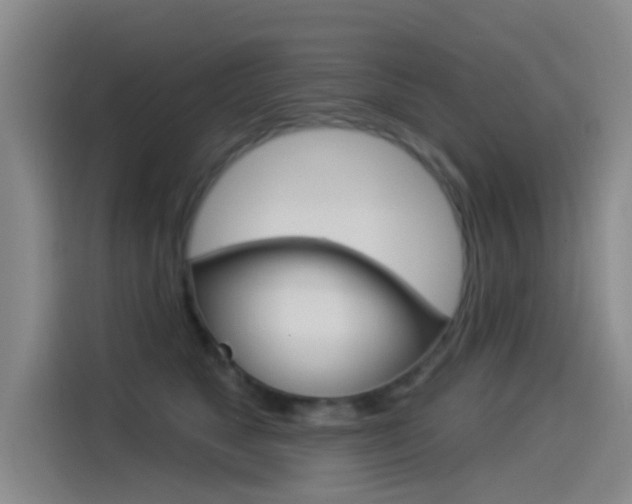 X0000114550517200910190954