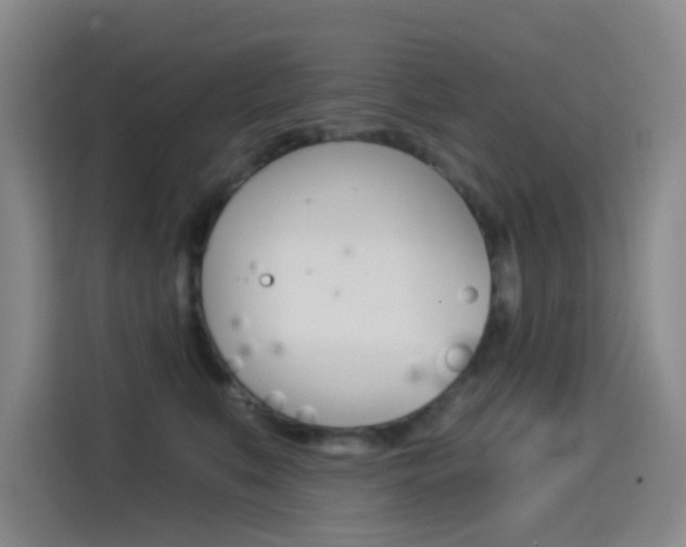 X0000114550519200910190954