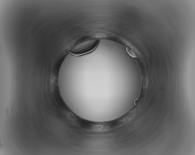 X0000114550521200910190954
