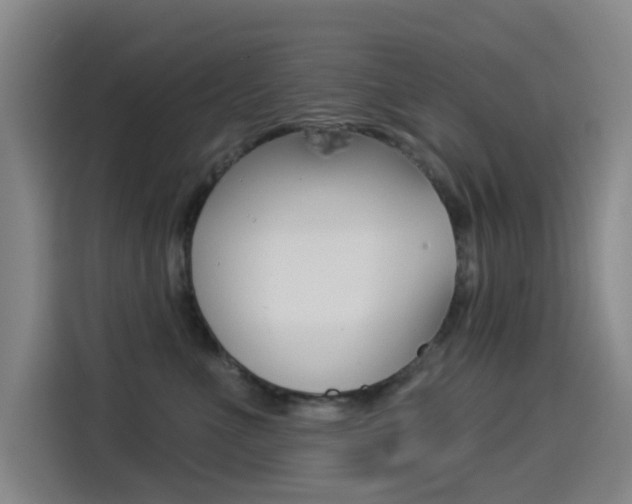 X0000114550523200910190954