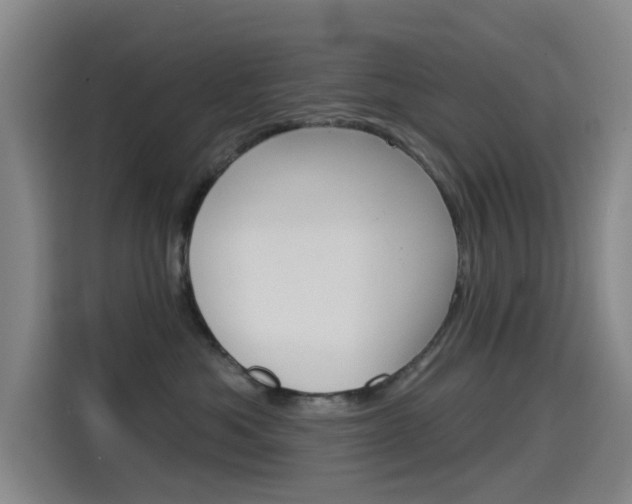 X0000114550525200910190954