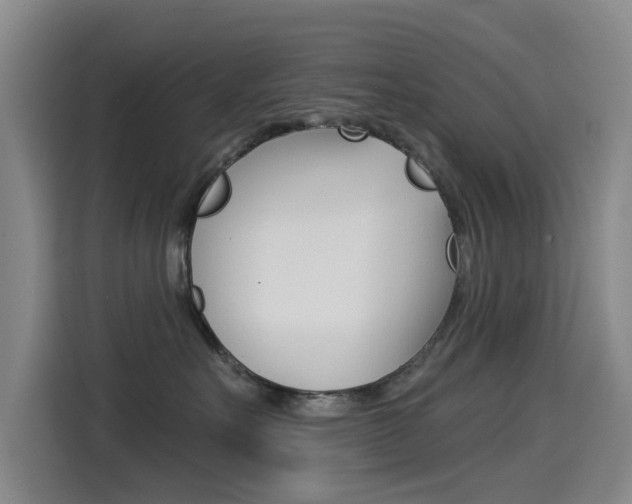 X0000114550527200910190954