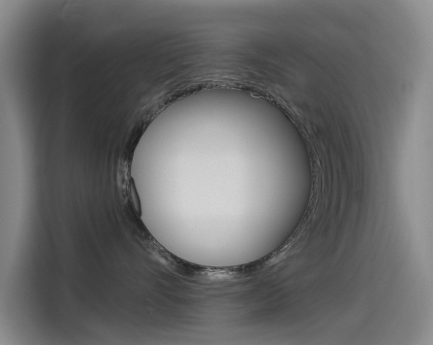 X0000114550528200910190954