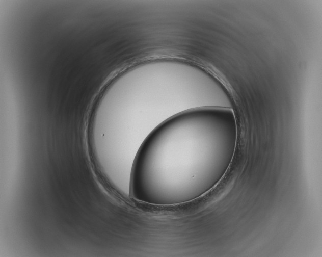 X0000114550530200910190953
