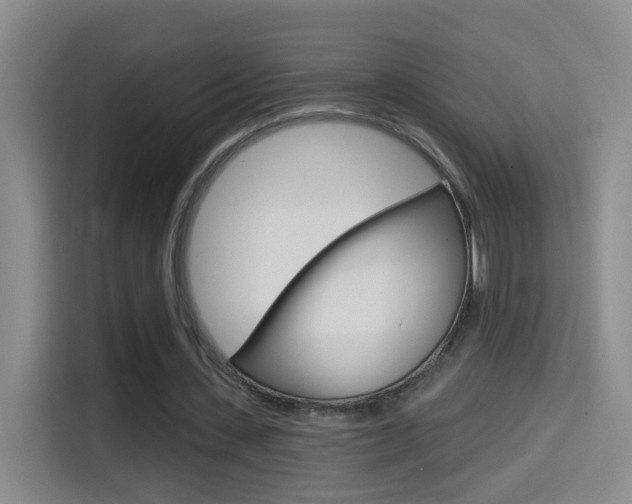 X0000114550531200910190953