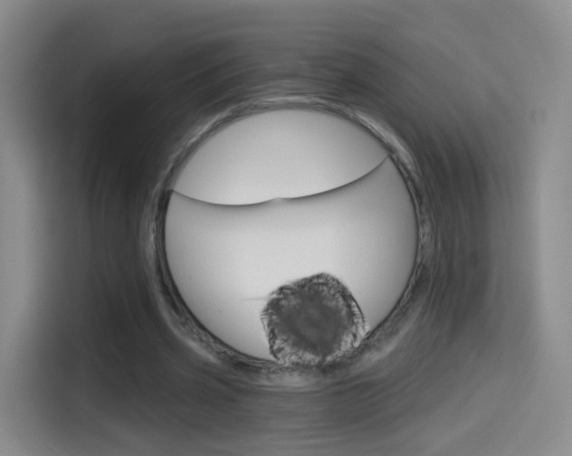 X0000114550533200910190953