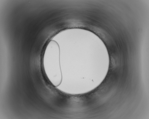 X0000114550534200910190953