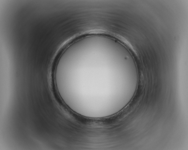 X0000114550535200910190953