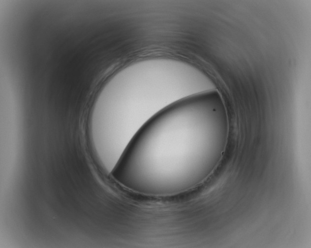X0000114550538200910190953