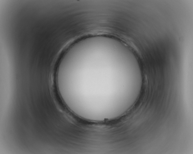 X0000114550539200910190953