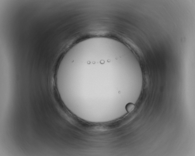 X0000114550541200910190953