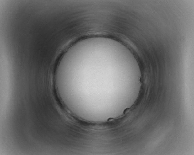 X0000114550542200910190953