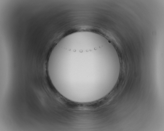 X0000114550545200910190953