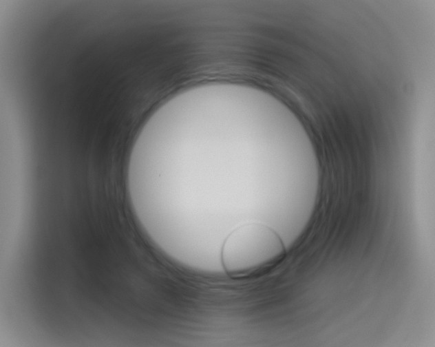 X0000114550546200910190953