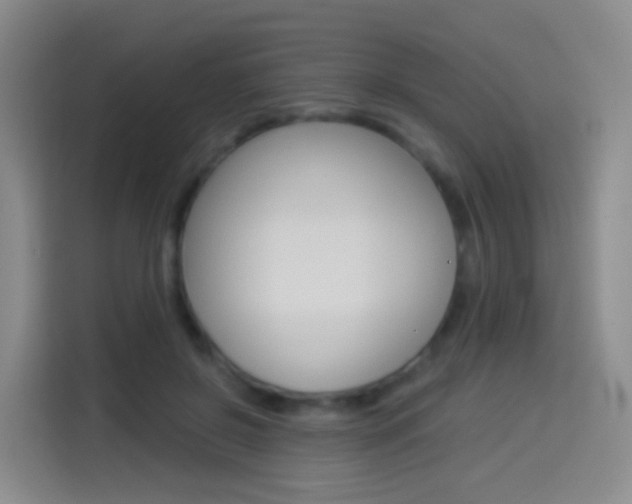 X0000114550550200910190953