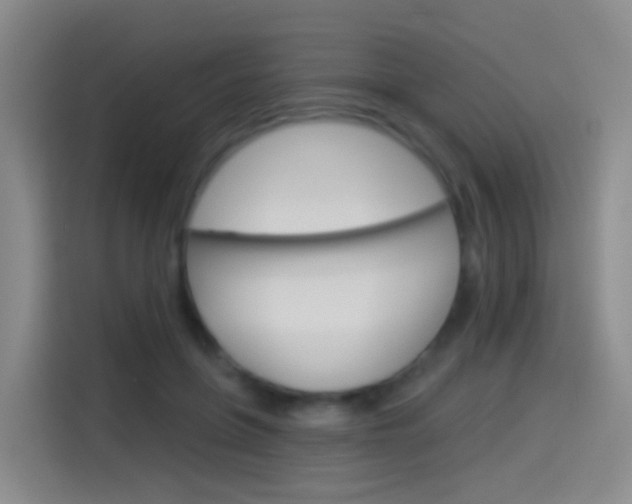 X0000114550551200910190953